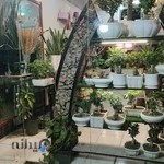 گلفروشی سوسن