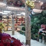 گل فروشی شقایق