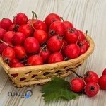 فروشگاه کهن ارگانیک