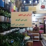 گل فروشی ترگل