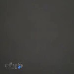 اسپرت یاران شاهین ویلا