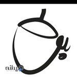 اکسسوری بلوط