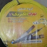 الکتریکی باغستان