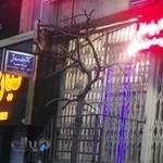 دکتر مولود صادقی