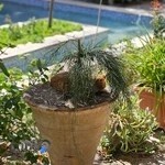 اموزشگاه موسیقی اریا