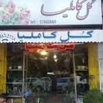 گل فروشی کاملیا