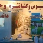 خوراک دام و طیور وحید غلام زاده