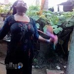 فیلم و عکس آکاد