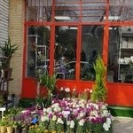 گل فروشی اِریکا