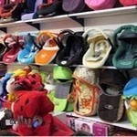 سیسمونی فرزانگان