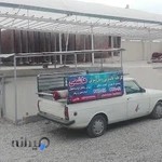 قالیشویی هاشمی