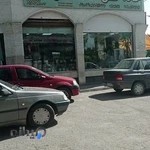 گلفروشی خانه گل ماندگار