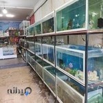 آکواریوم آناهیتا