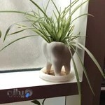 رادیولوژی تخصصی دهان و فک و صورت دکتر یاسر صافی