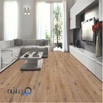 آوند چوب آریا