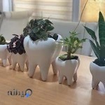 فروشگاه تجهیزات دندانپزشکی دنت لند