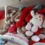 عروسک پولیشی