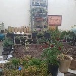 مهرآموز سوئیت