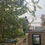 دکتر محمدرضا غفاری