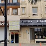 دکتر محمد رضا وحیدی