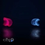 فدراسیون جهانی ورزش های با مانع (او-اسپرت)