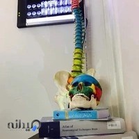 دکتر شهاب تاج دینی