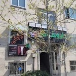 دکتر محمد برقعی