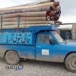 قالیشویی و مبل شویی آریا