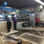 قالیشویی در نیرو هوایی،البرز