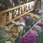 گلفروشی سارینا