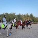 باشگاه سوارکاری یزدان ری