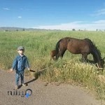 باشگاه سوارکاری دانشگاه زنجان