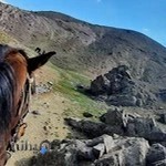 باشگاه سوارکاری کحیلان زنجان )خلفی(