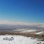 باشگاه سوارکاری نعل طلا