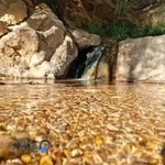 آرایشگاه روزبه