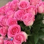 لابراتور و دندانسازی الماس