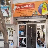 پرنده سرای پدر