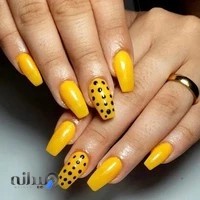 کاشت ناخن مهرانا