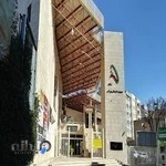 مجموعه ورزشی زیتون