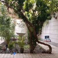 ماساژباتخت دکترجید