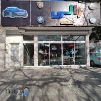 ماشین شارژی رالی