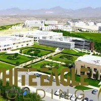 هلدینگ وایت ایگل