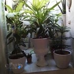 دکتر زهرا بصیری