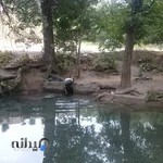 آجیل و خشکبار تک چین (صادقی)