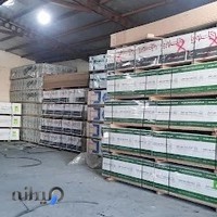 کالای چوب شاهرخ