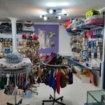 کلینیک دامپزشکی و پت شاپ دکتر راد