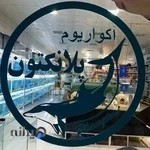 فروشگاه آکواریوم پلانکتون