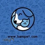 پت شاپ اینترنتی بامی پت