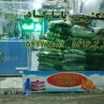 خشکشویی پاسارگاد