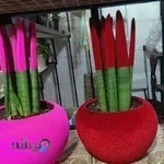 گل و گلدون حنا گل